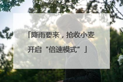 降雨要来，抢收小麦开启“倍速模式”